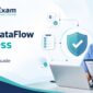 dha-dataflow-process-step-by-step